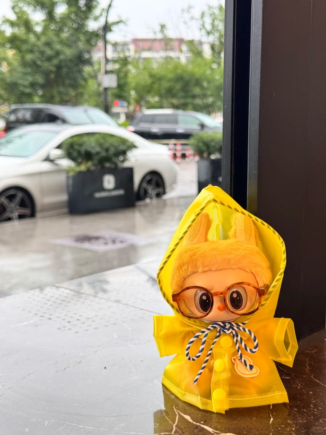 Labubu Raincoat | Sødt regnfuldt - dagsudseende, sødhed maxed ud