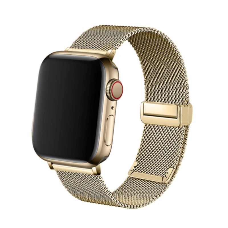 Milanese Magbuckle