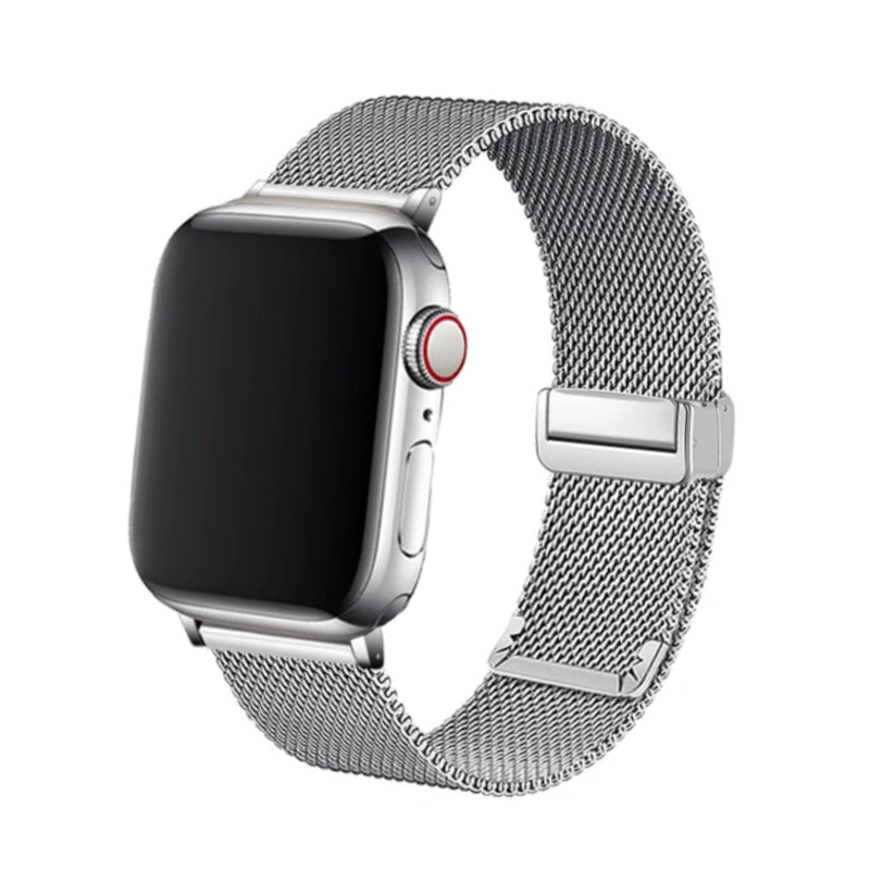 Milanese Magbuckle
